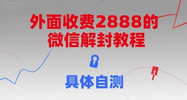 外面收费2888的微信解封教程，具体自测-928资源网